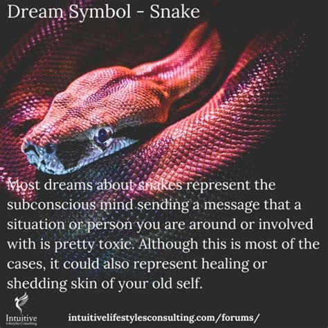 Decoding Snake Dreams: Omens, Symbolism, and .